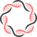 Expression vector construction