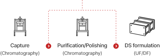Process flow